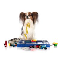 Σετ ραπτικής