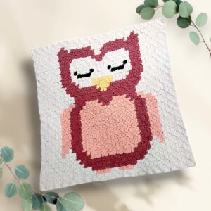 baby blanket owl 2